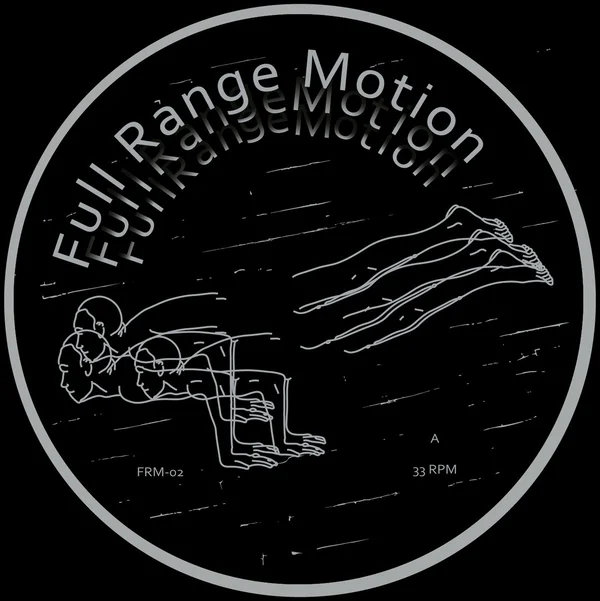 393ad singularities ep (full range motion)