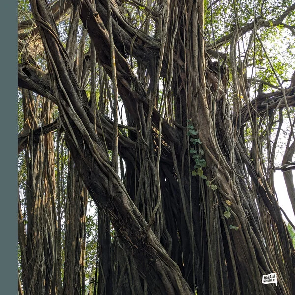 Pawas, unnayanaa omm ep (masala movement)