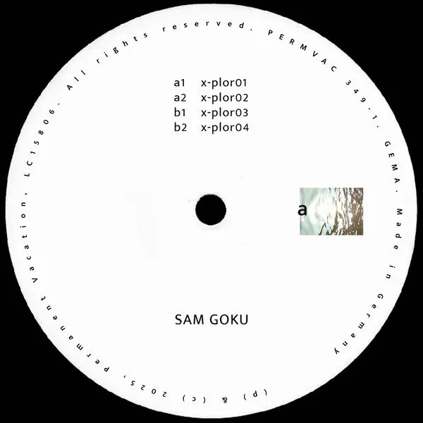 Sam goku explorations 01 (permanent vacation)