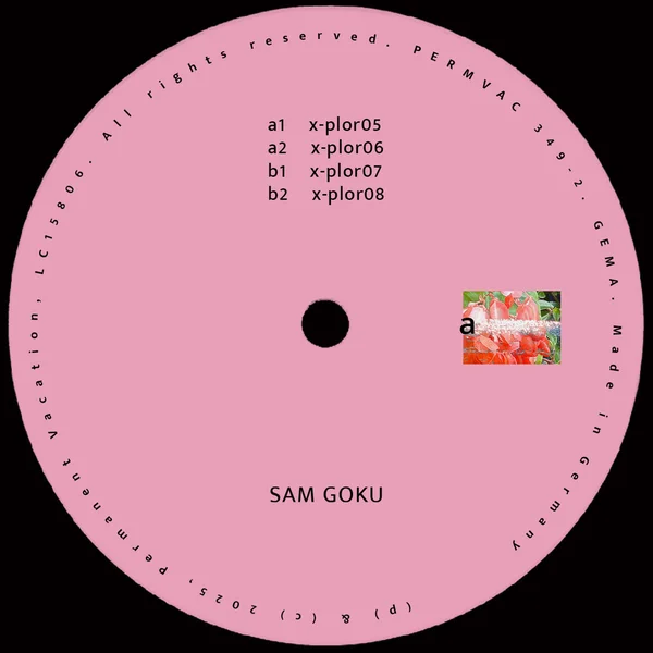 Sam goku explorations 02 (permanent vacation)