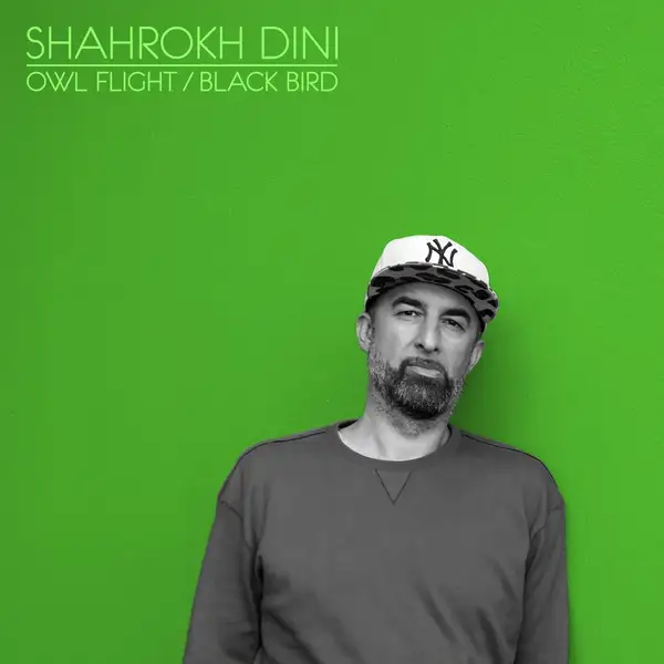 Shahrokh dini owl flight black bird (2025 edits) (compost)