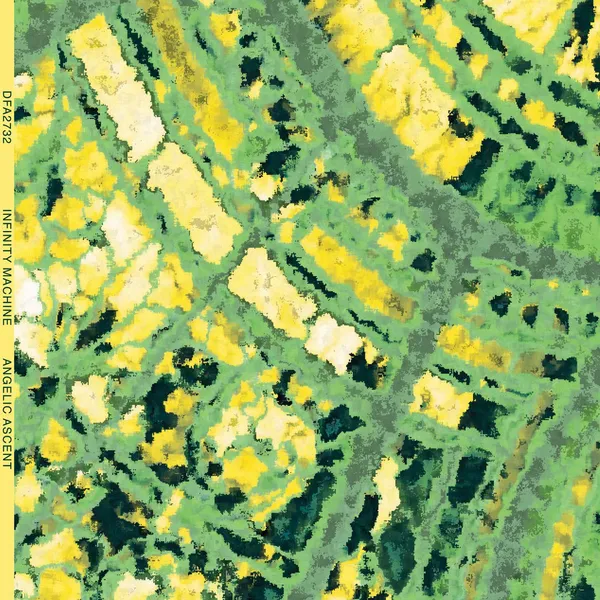 Infinity Machine Angelic Ascent (DFA Records)