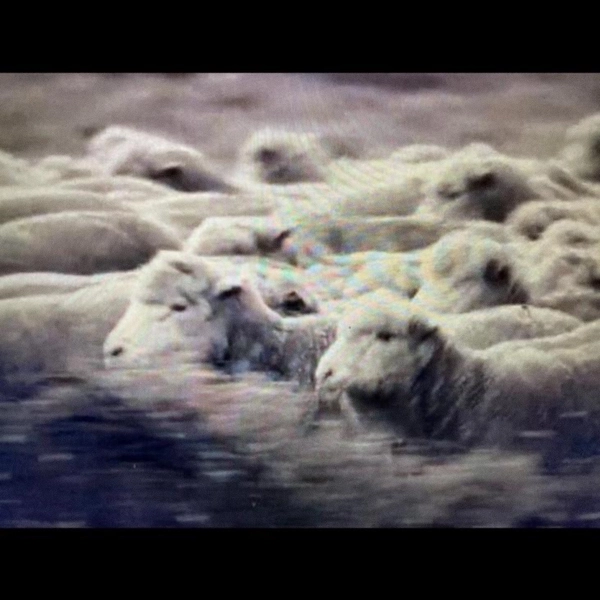 VA Still Motion (Permanent Vacation)