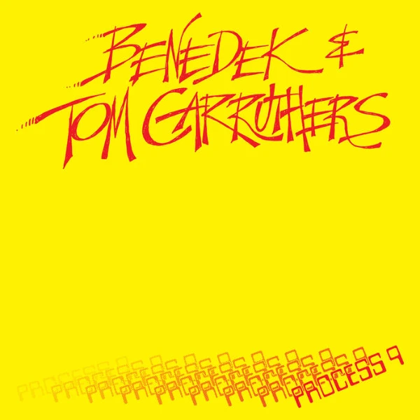 Benedek & Tom Carruthers Process 9 (L.I.E.S. Records)