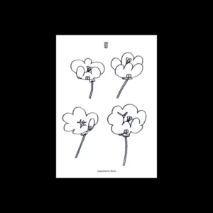 Lawrence Poppies (Smallville Records)