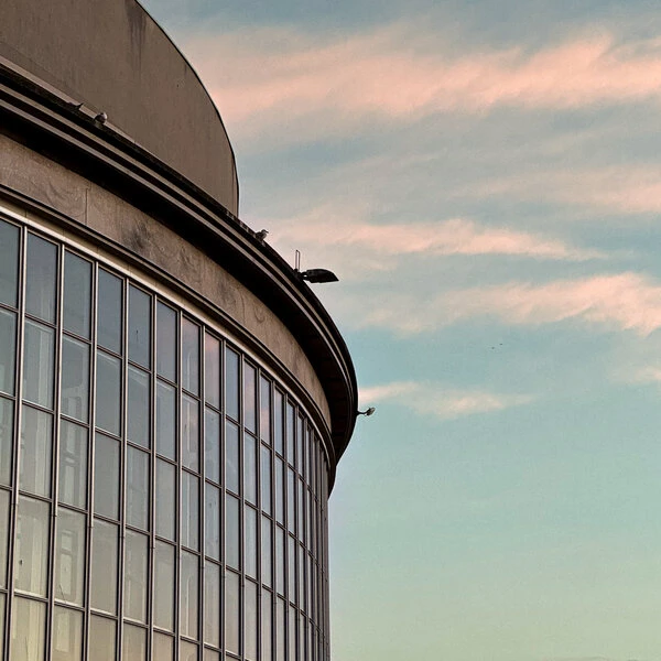 Partly Essential Like (Partly Essential)