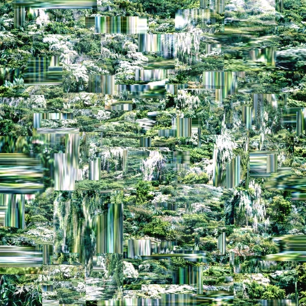 VA NP006 (Natural Positions)